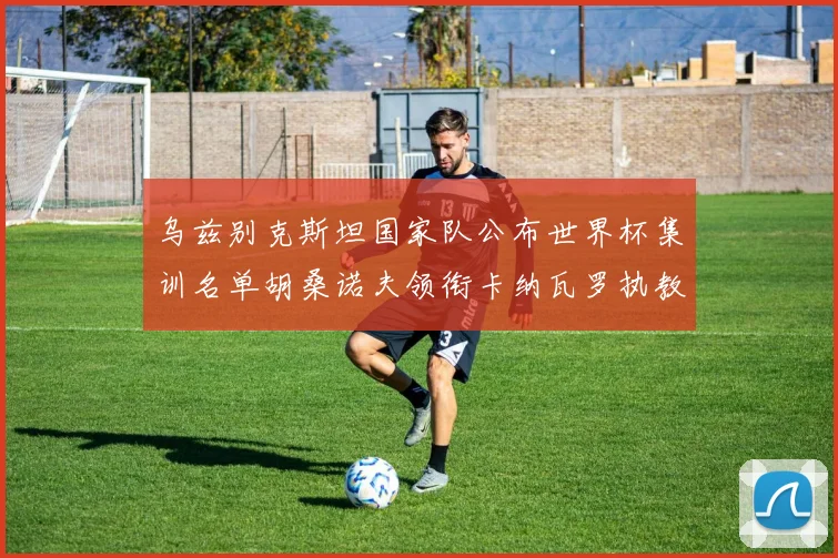 乌兹别克斯坦国家队公布世界杯集训名单胡桑诺夫领衔卡纳瓦罗执教